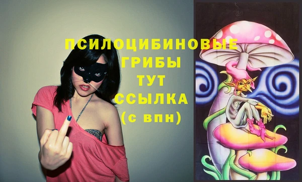 марки nbome Алзамай