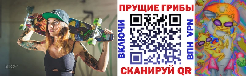 купить закладку  сайты даркнета формула  Галлюциногенные грибы Psilocybe  Саки 